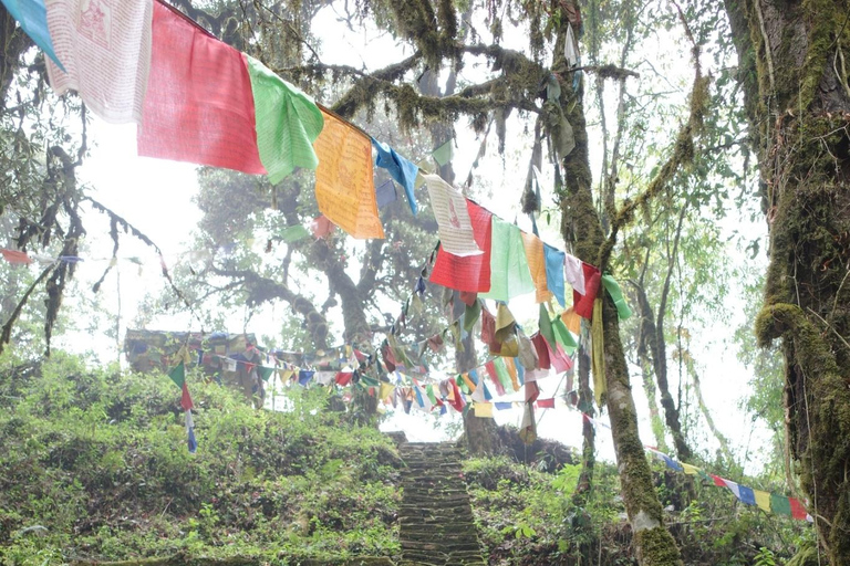 Från Katmandu: 8-dagars Mardi Himal Trek med transfer