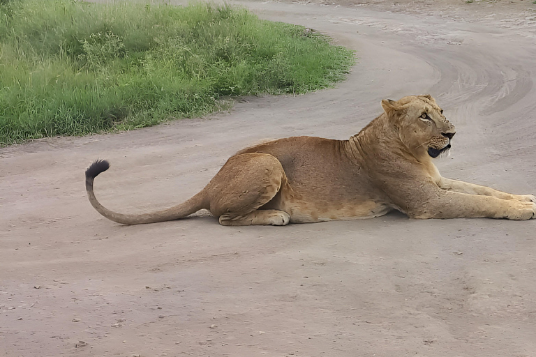 Nairobi: Półdniowa przejażdżka w Parku Narodowym Nairobi