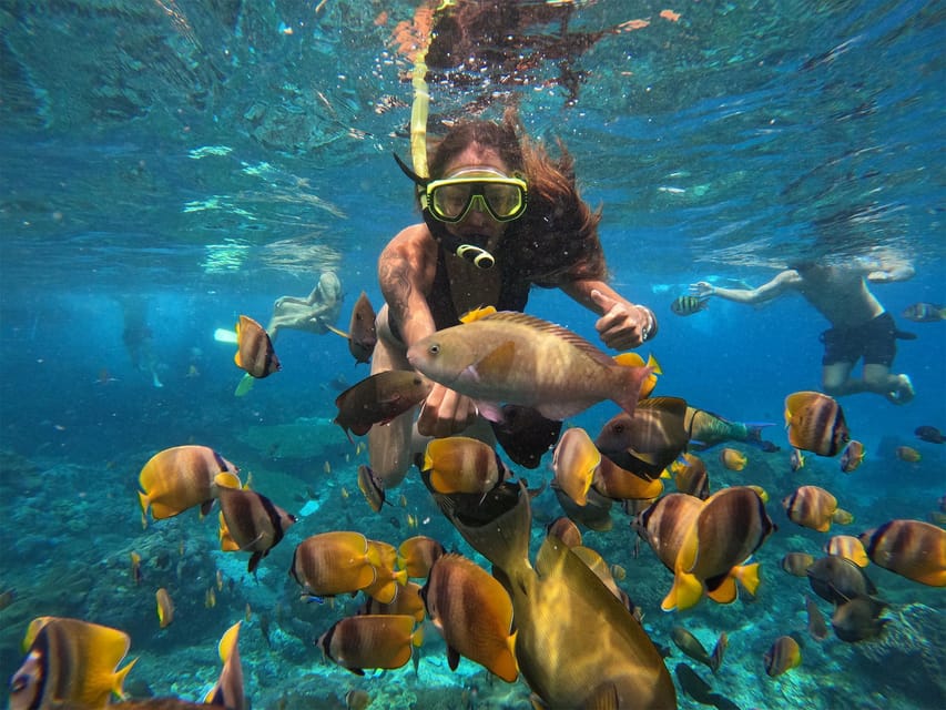 Nusa Penida Snorkelen met gids en zwemmen met Manta's cruise