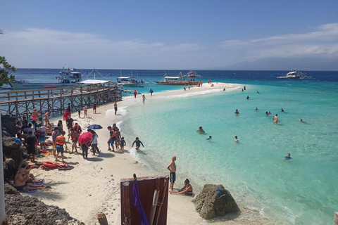 Oslob: Whale Sharks, Tumalog Falls & Sumilon Trio Adventure