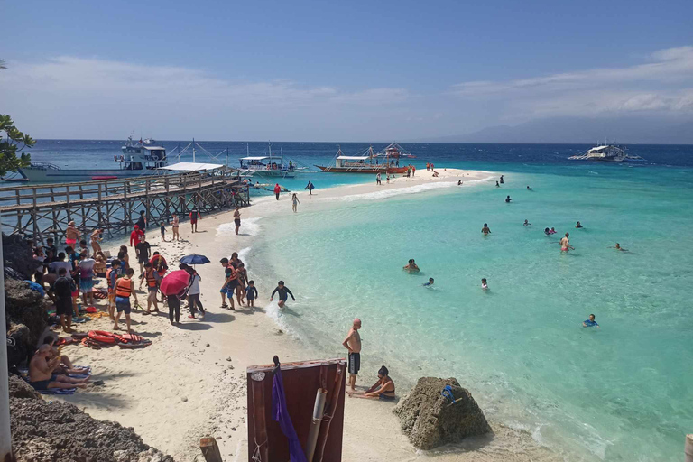 Oslob: Whale Sharks, Tumalog Falls & Sumilon Trio Adventure