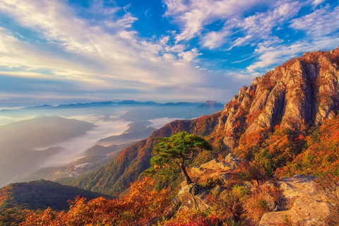 سيول: جولة يومية لمشاهدة أوراق الخريف في حديقة أودايسان أو دايدونسانجولة مشتركة لمشاهدة أوراق شجر 