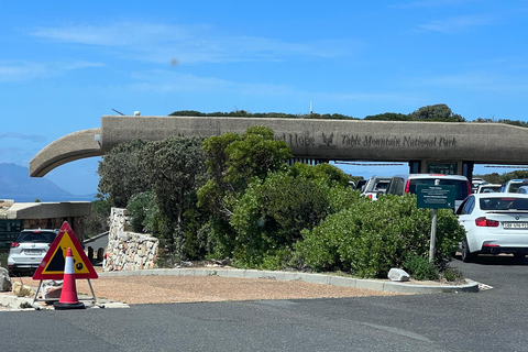 Cape of Good Hope and Penguins Full-Day Private Tour Private tour: Cape of Good Hope and Penguins Full-Day Tour