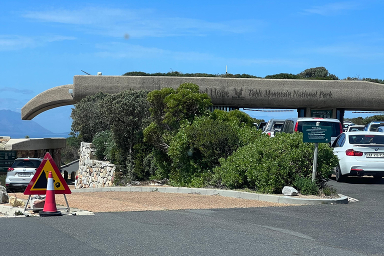 Cape of Good Hope and Penguins Full-Day Private Tour Private tour: Cape of Good Hope and Penguins Full-Day Tour
