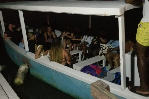 Desde Montego Bay: Tour en barco por la Laguna Luminosa con traslado