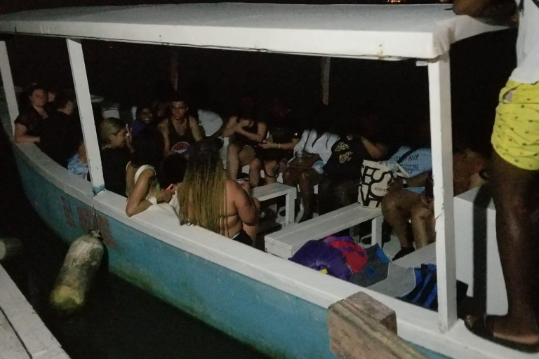 Z Montego Bay: Rejs wycieczkowy po świetlistej lagunie z transferem