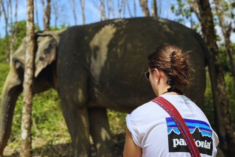 Khao Lak Eco-Safari : Éléphants, musée du tsunami et tortuesKhao Lak : Safari en camion sur l'île avec déjeuner - Excursion d'une journée