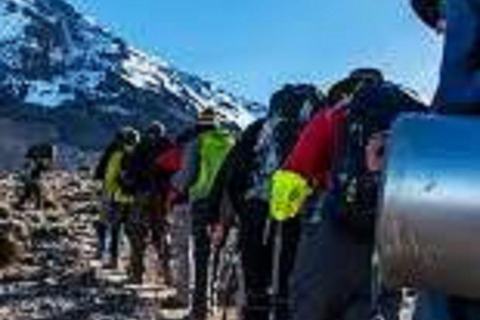 Niezapomniany trekking Kilimandżaro - 1 dzień szlakiem Rongai