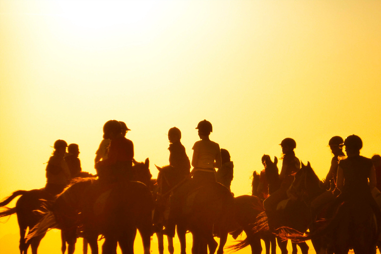 Hurghada: Sunset Sea, Desert Horse W Opt, Dinner, Stargazing Sunrise Hurghada: 4-hour Horse Ride With Swim Stop