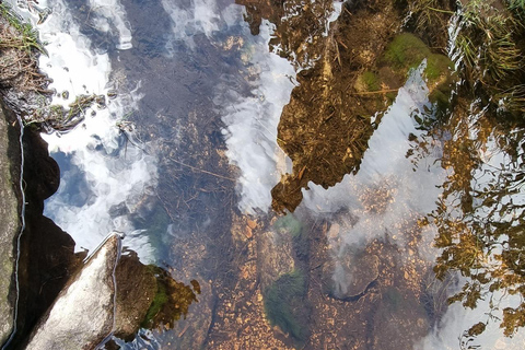 Le páramo, source d&#039;eau et gardien de la vie - RandonnéePáramo, source d&#039;eau et gardien de la vie - Randonnée