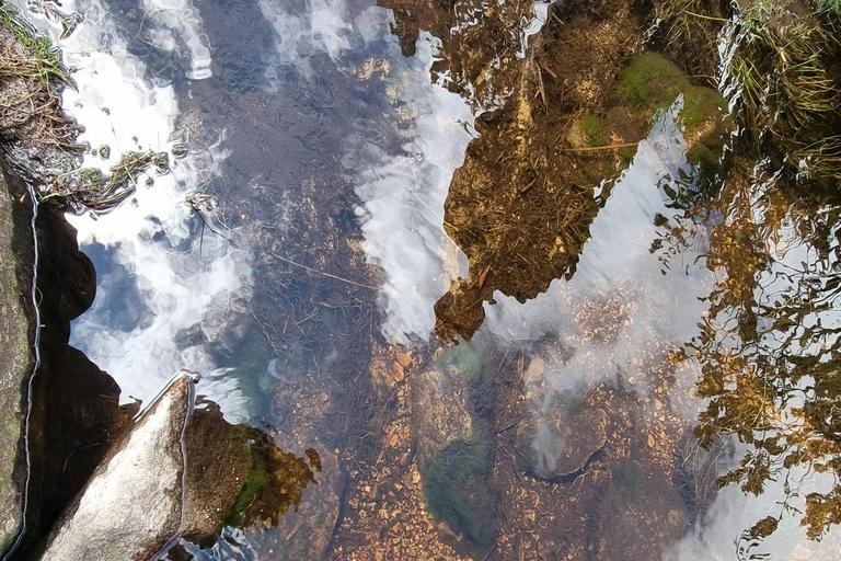 Le páramo, source d&#039;eau et gardien de la vie - RandonnéePáramo, source d&#039;eau et gardien de la vie - Randonnée