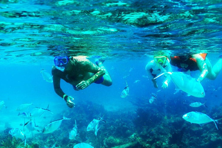 Punta Cana: viagem de snorkeling à Ilha Catalina com almoçoPunta Cana: Passeio de snorkeling na Ilha Catalina com almoço