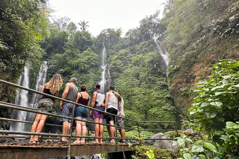 Trekking na selva em SekumpulTrekking na Cachoeira Sekumpul com tudo incluído