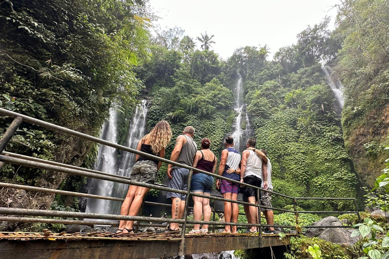 Trekking na selva em SekumpulTrekking na Cachoeira Sekumpul com tudo incluído