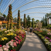 Singapore: Gardens by the Bay Tour with Buffet & Transfers Singapore: Gardens by the Bay Tour with Buffet & Transfers