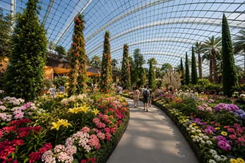 Singapore: Gardens by the Bay Tour with Buffet & Transfers - Image 3