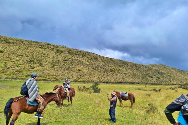 Cotopaxi: 2-Hour Horseback Riding and Limpiopungo Lagoon from Quito