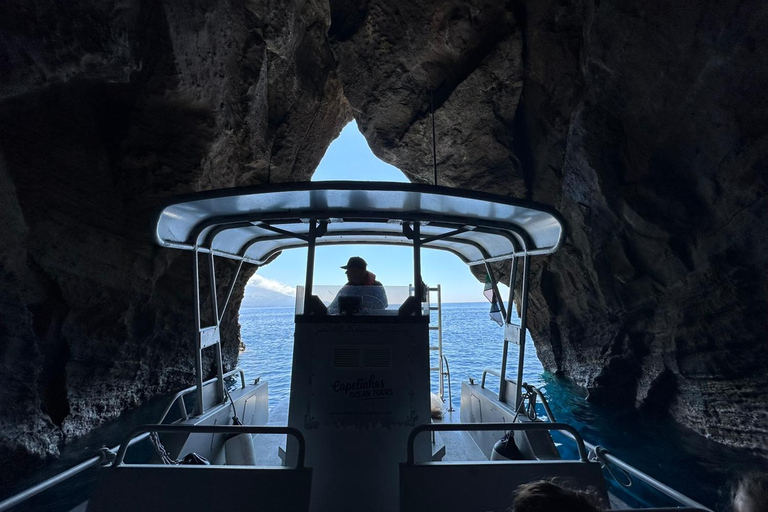 Isola di Faial: Tour unico in barca al vulcano Capelinhos