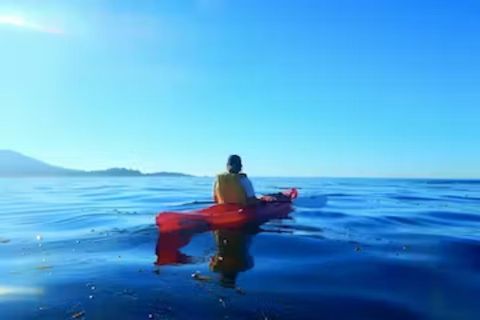 Monterey: Pebble Beach Kayak Tour