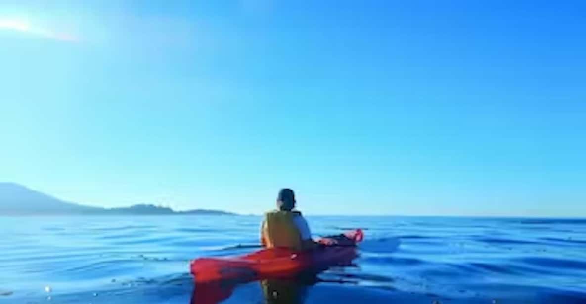 Monterey Pebble Beach Kayak Tour GetYourGuide
