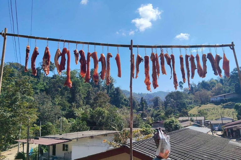 Chiang Rai: Hill Tribe Trek, Waterfall, & Hot Springs Tour