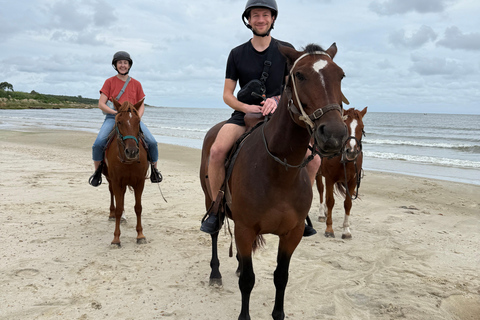 Montevideo: Horseback riding on a trail to the Beach