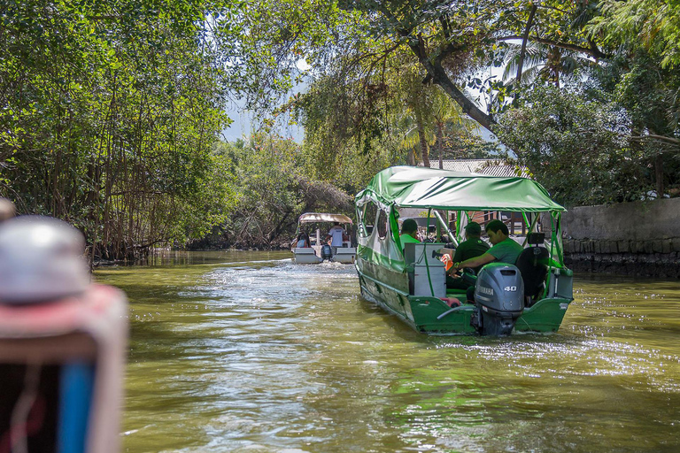 Rio de Janeiro: Ilha da Gigóia Canals and Wildlife Tour