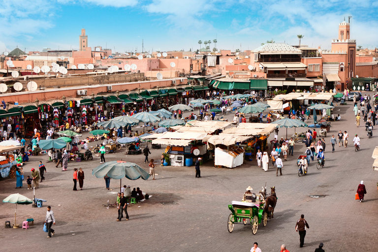 From Agadir: Marrakech Guided Day Trip Exclusive Private Experience