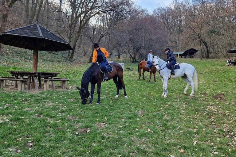Belgrade: Epic Forest Horseback Riding Tour