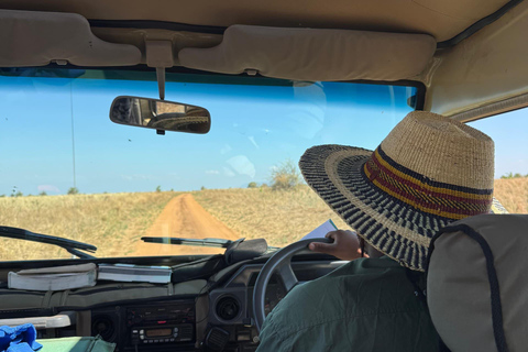 Arusha : Excursion d'une journée dans le parc national du Tarangire avec déjeuner