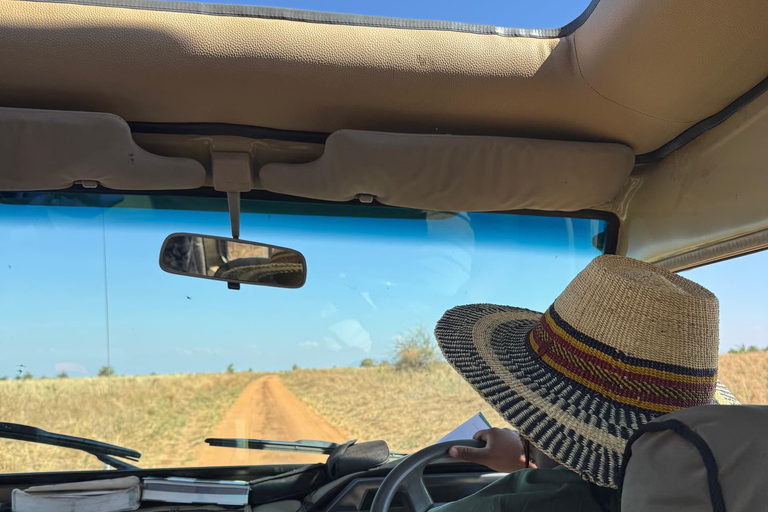 Arusha : Excursion d'une journée dans le parc national du Tarangire avec déjeuner
