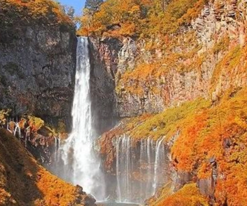 Da Tokyo: tour privato personalizzato a Nikko con autista inglese