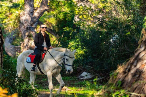 Alanya: Unique Horse Safari Experience in the Taurus Mountains with Transport Alanya: Unique Horse Safari Experience in the Taurus Mountains + Transfer