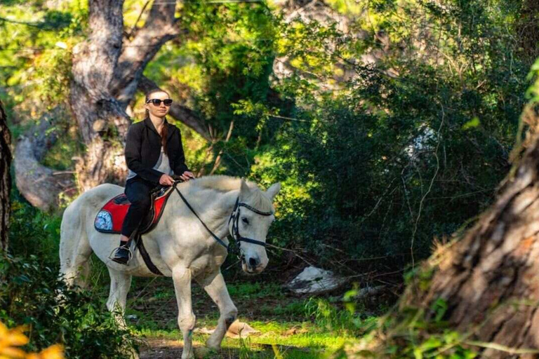 Alanya: Unique Horse Safari Experience in the Taurus Mountains with Transport Alanya: Unique Horse Safari Experience in the Taurus Mountains + Transfer