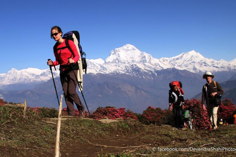 Nepal: Trilha do acampamento base do Annapurna (ABC) saindo de KatmanduNepal: Caminhada pelo acampamento base do Annapurna saindo de Katmandu