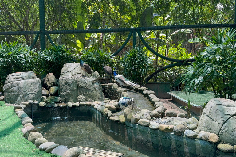 فينبيرل فينووندرز نام هوي آن مع سفاري وحديقة مائيةجولة خاصة بدون بوفيه أو عربة