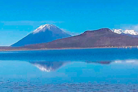 From Arequipa | Tour to Salinas + Hot springs of lojenDepuis Arequipa | Tour à Salinas + Sources d'eau chaude de Lojen