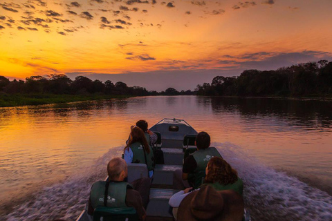 São Paulo: 3-Day Eco Safari Experience in the Pantanal