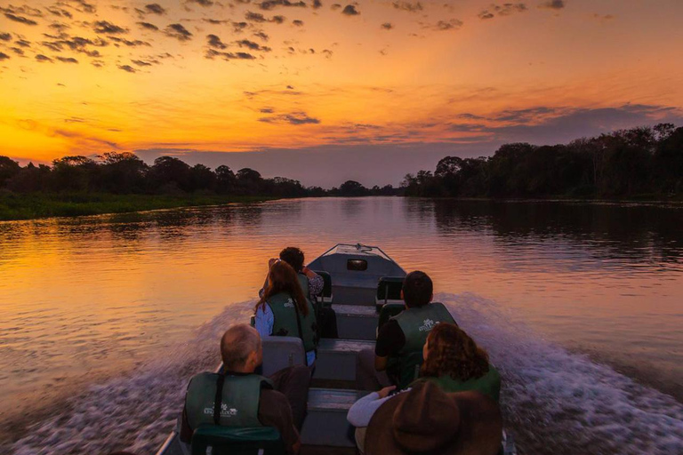 São Paulo: 3-Day Eco Safari Experience in the Pantanal