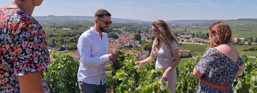 Au départ de Reims : Visite matinale du Champagne et dégustations