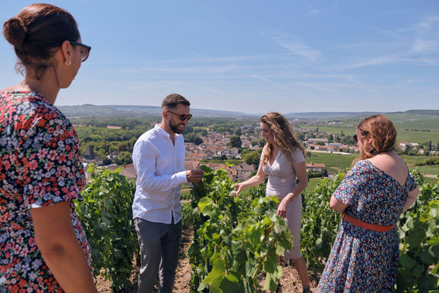 Depuis Reims : visite des caves Pommery avec dégustation