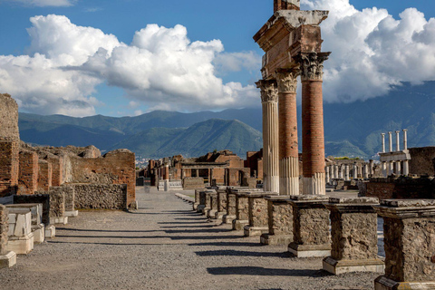 Pompeii: Discover full city &amp; villas Entry ticketPompeii: Skip-the-Line Express Entry ticket