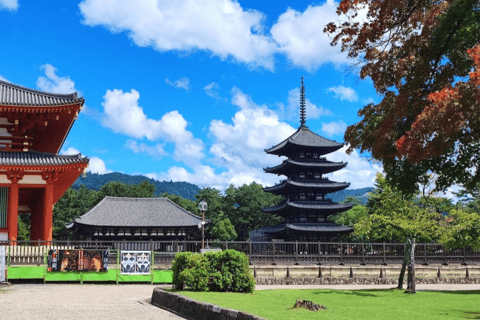 Nara Hidden Gems: Deer, Tsubosaka-dera, Kasuga & Naramachi