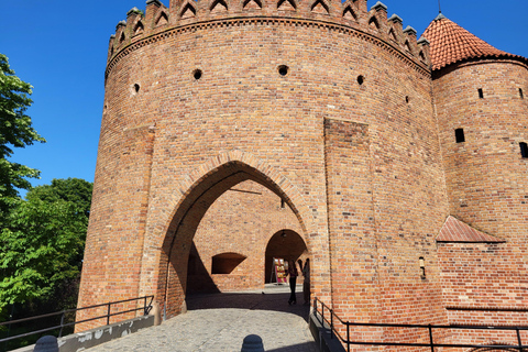 Tour a piedi del patrimonio UNESCO di VarsaviaTour a piedi della città vecchia di Varsavia