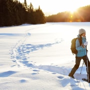 Levi: Snowshoeing Adventure with Warm Drinks