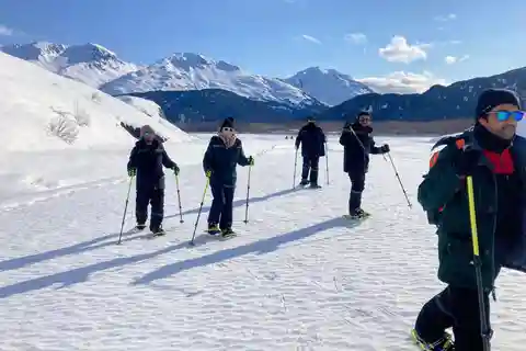 From Seward: Snowshoe guided adventure