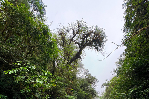 De San José: tour privado às Cataratas Azuis com cachoeira escondidaDe San José: excursão privada às Cataratas Azuis com cascata escondida