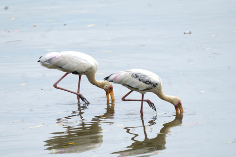 Singapore: Unravel Hidden Gems in a Private Customized Tour Private Customized Tour - 2 hours