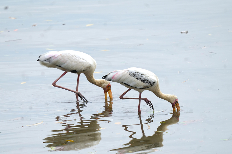 Singapore: Unravel Hidden Gems in a Private Customized Tour Private Customized Tour - 2 hours