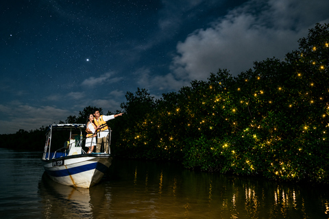 Kuala Selangor: Hidden Gems & Magical Fireflies